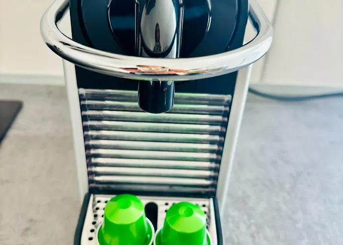 Arbre De Vie 岩尼维利