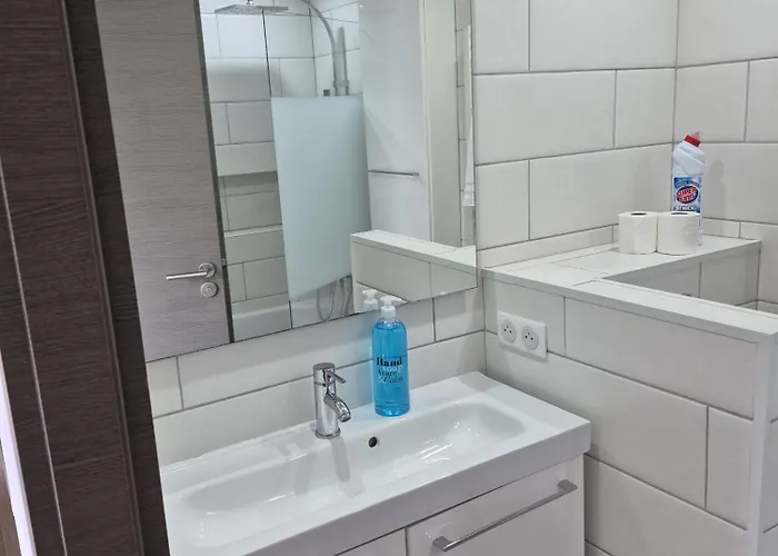 Arbre De Vie * 岩尼维利